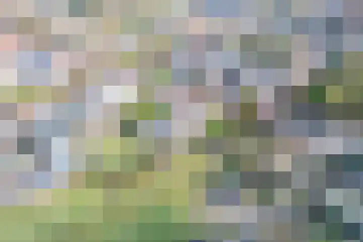 Kuilenhurk 7 Vessem foto 2