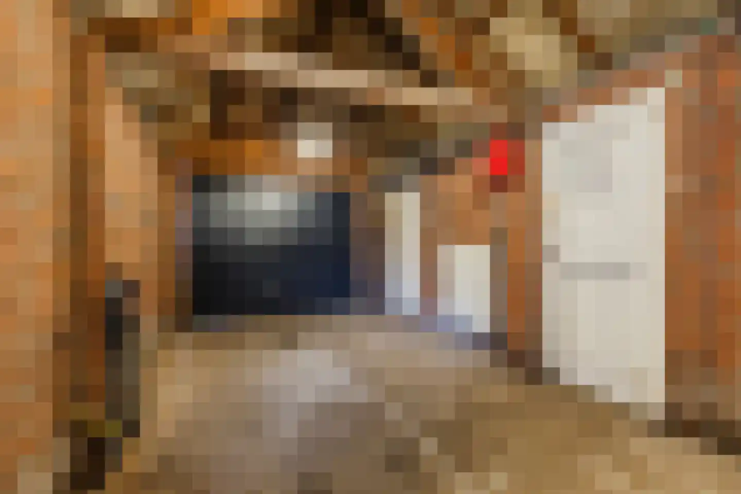 Kuilenhurk 7 Vessem thumbnail 30