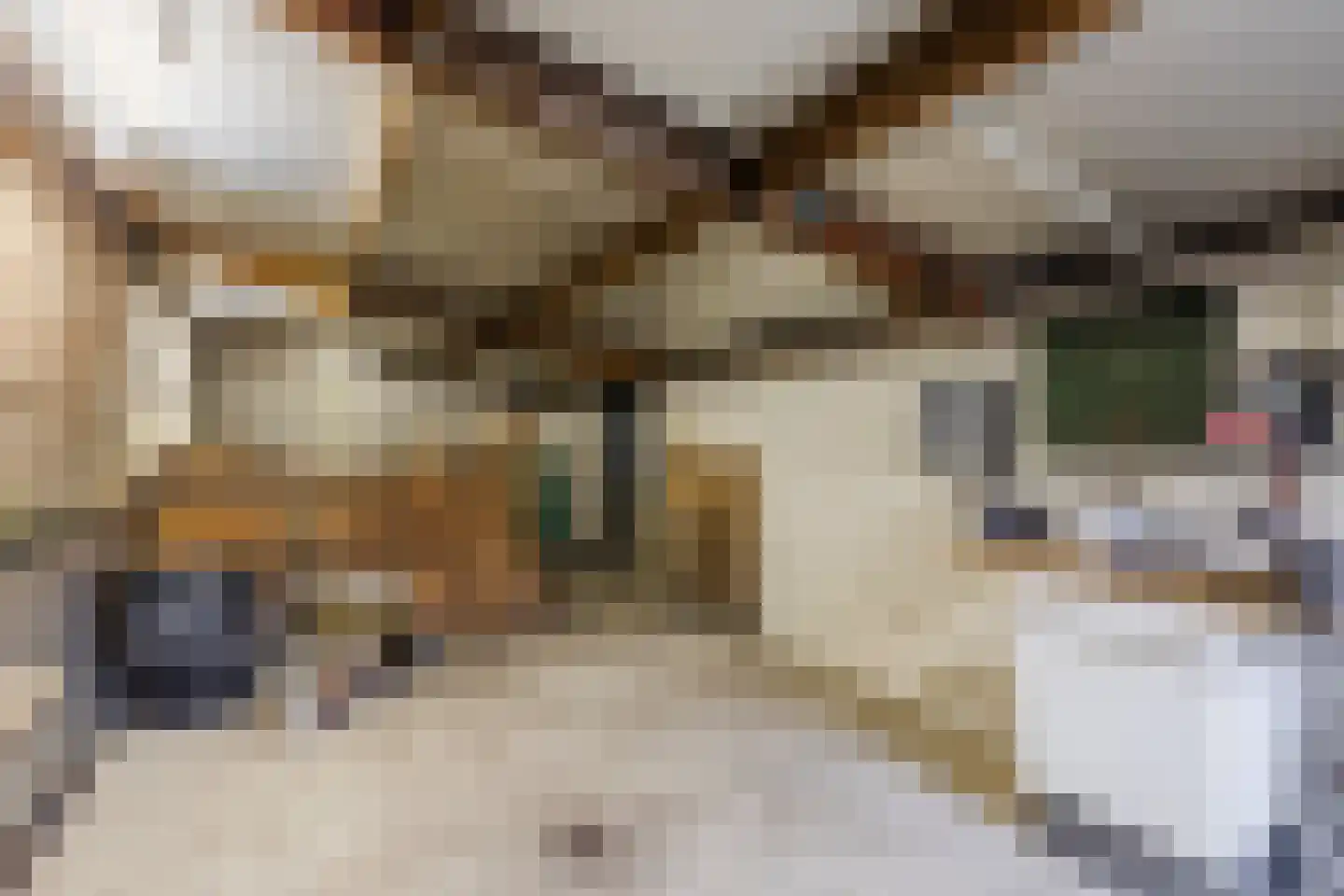 Kuilenhurk 7 Vessem thumbnail 31