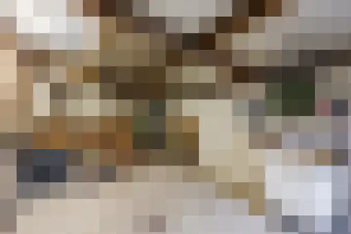 Kuilenhurk 7 Vessem thumbnail 31