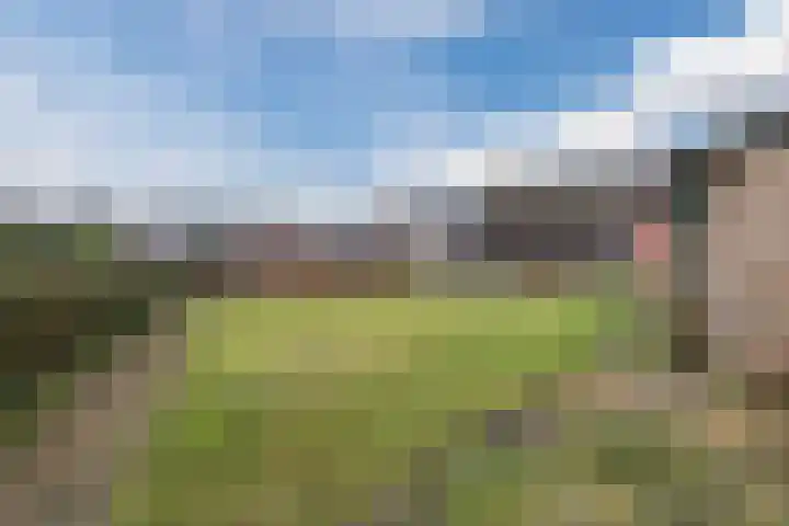 Kuilenhurk 7 Vessem thumbnail 36
