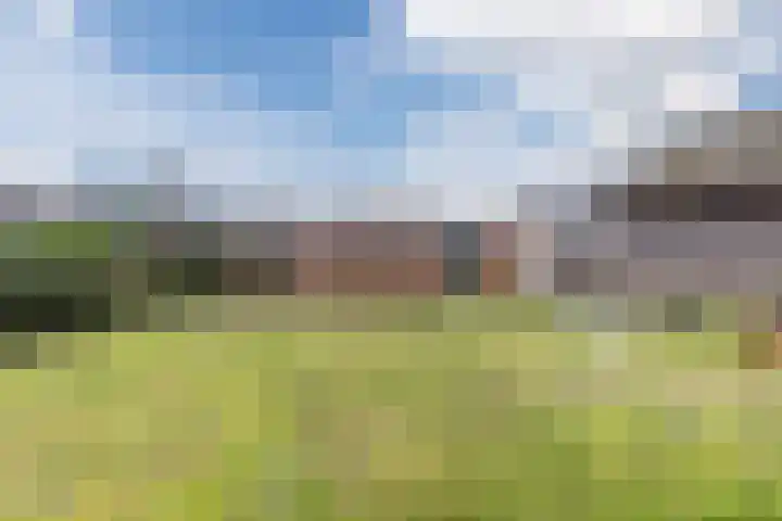 Kuilenhurk 7 Vessem thumbnail 38
