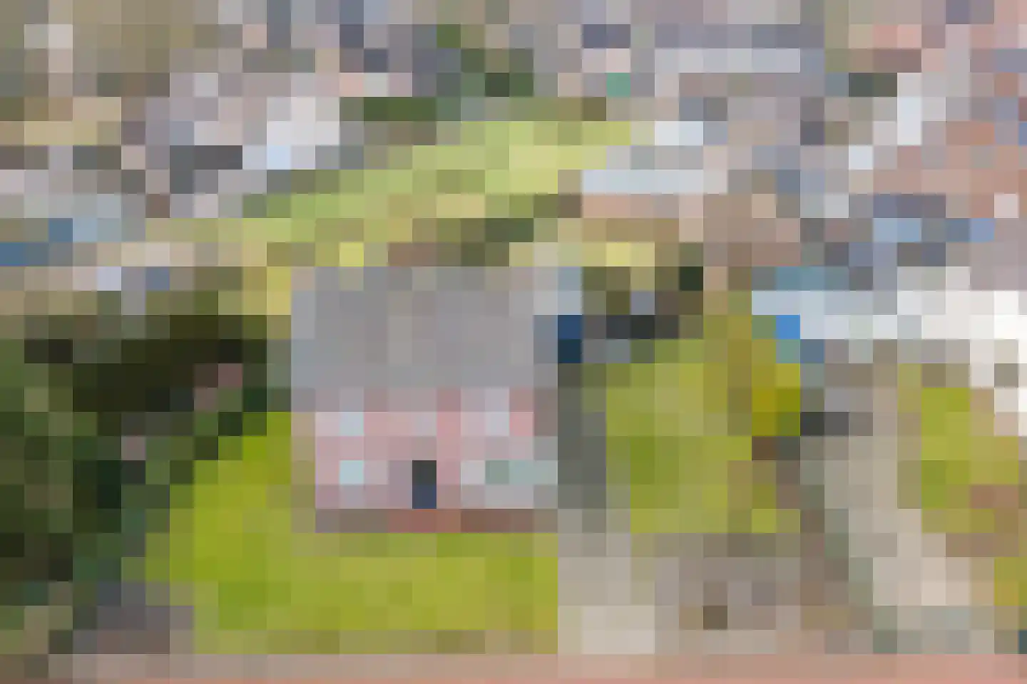 Kuilenhurk 7 Vessem thumbnail 45