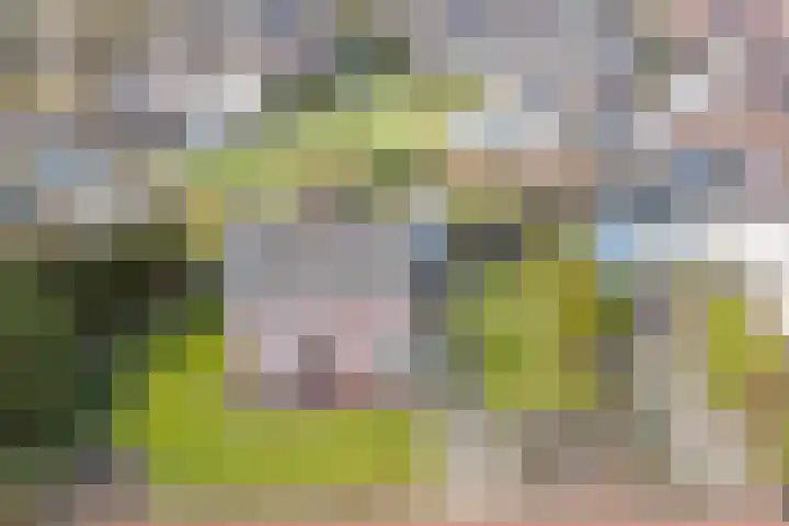 Kuilenhurk 7 Vessem thumbnail 45