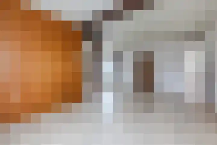 Kuilenhurk 7 Vessem thumbnail 7
