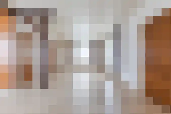 Kuilenhurk 7 Vessem thumbnail 9