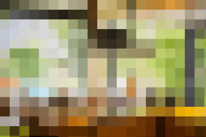 Kuilenstraat 10 Eindhoven thumbnail 12
