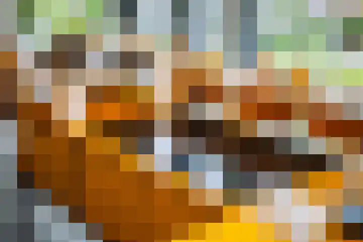 Kuilenstraat 10 Eindhoven thumbnail 13