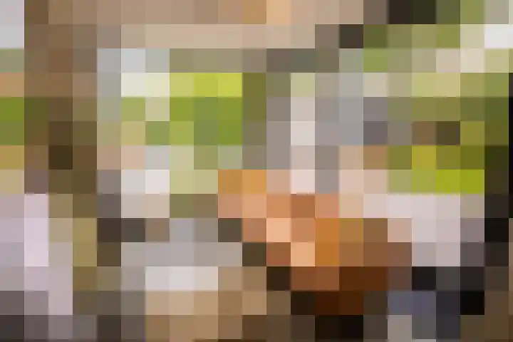 Kuilenstraat 10 Eindhoven thumbnail 19
