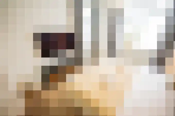 Kuilenstraat 10 Eindhoven thumbnail 24