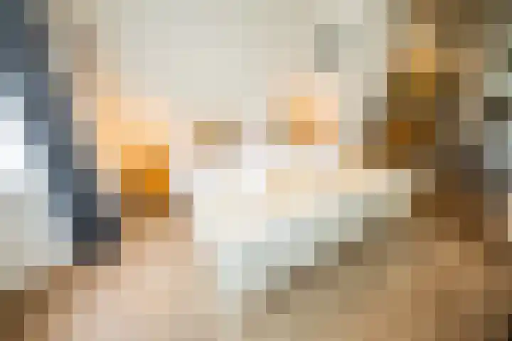 Kuilenstraat 10 Eindhoven thumbnail 25