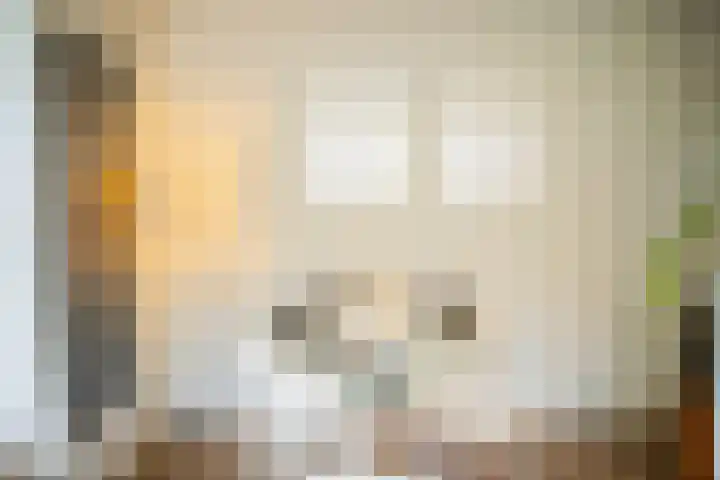 Kuilenstraat 10 Eindhoven thumbnail 34