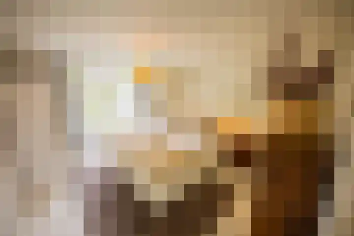 Kuilenstraat 10 Eindhoven thumbnail 38
