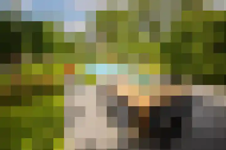 Kuilenstraat 10 Eindhoven thumbnail 4