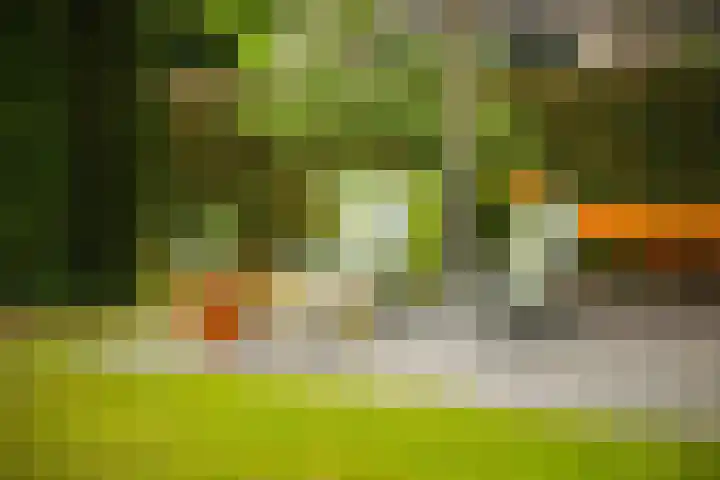 Kuilenstraat 10 Eindhoven thumbnail 42