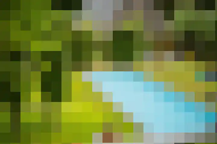 Kuilenstraat 10 Eindhoven thumbnail 43