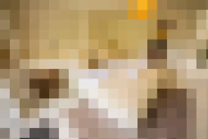 Kuilenstraat 10 Eindhoven thumbnail 47