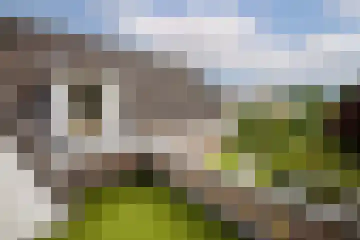 Kuilenstraat 10 Eindhoven thumbnail 51
