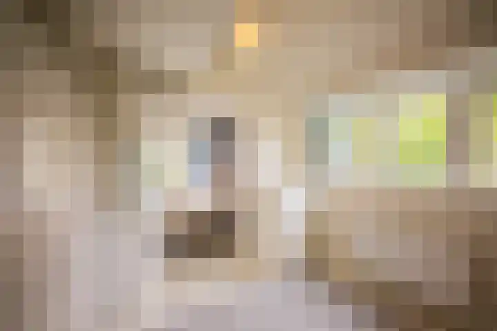 Kuilenstraat 10 Eindhoven thumbnail 53