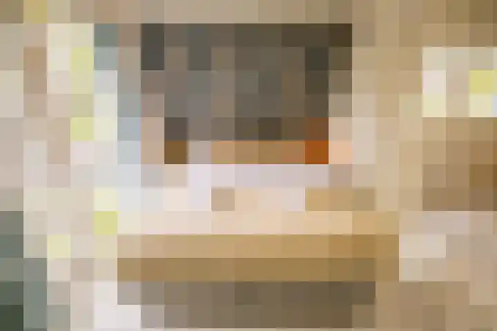 Kuilenstraat 10 Eindhoven thumbnail 54