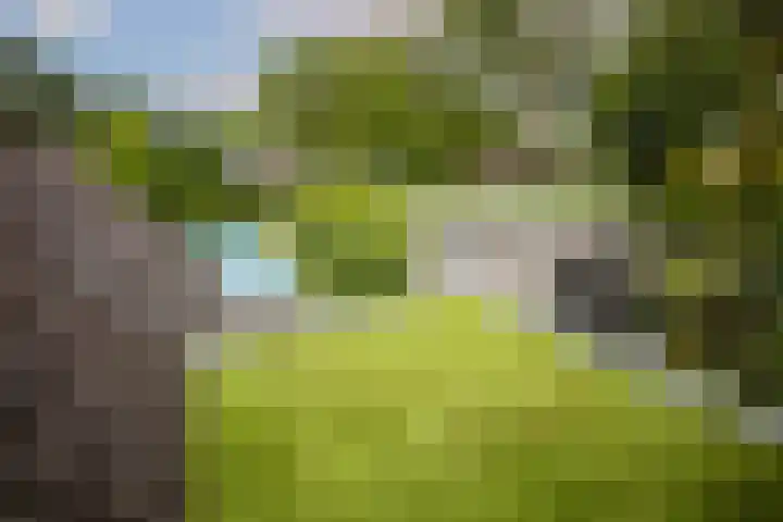 Kuilenstraat 10 Eindhoven thumbnail 55