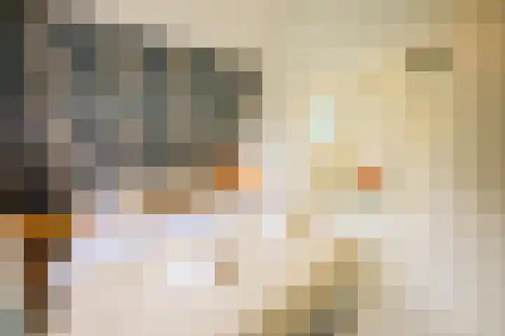 Kuilenstraat 10 Eindhoven thumbnail 60