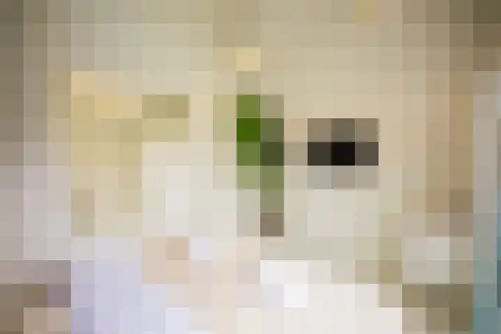 Kuilenstraat 10 Eindhoven thumbnail 61