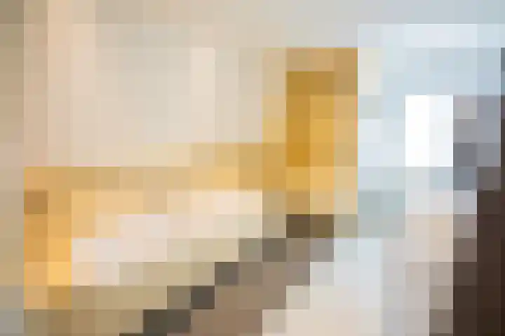 Kuilenstraat 10 Eindhoven thumbnail 67