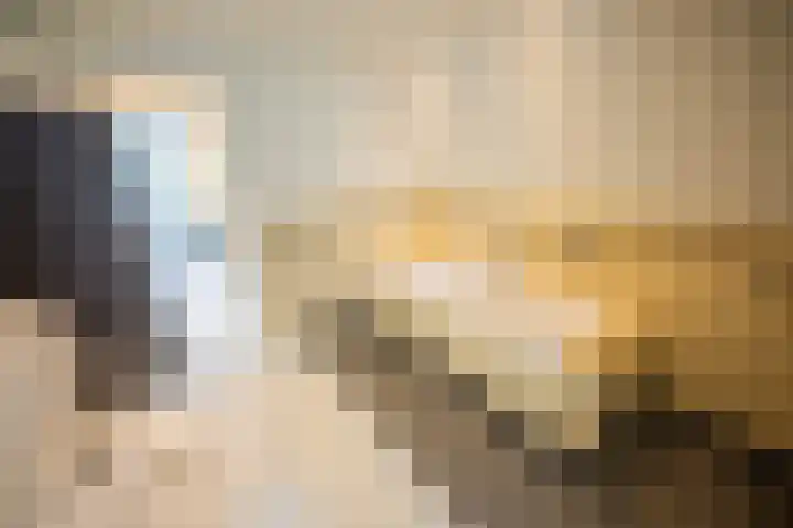 Kuilenstraat 10 Eindhoven thumbnail 72