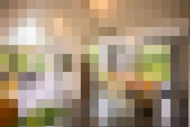 Kuilenstraat 10 Eindhoven thumbnail 8