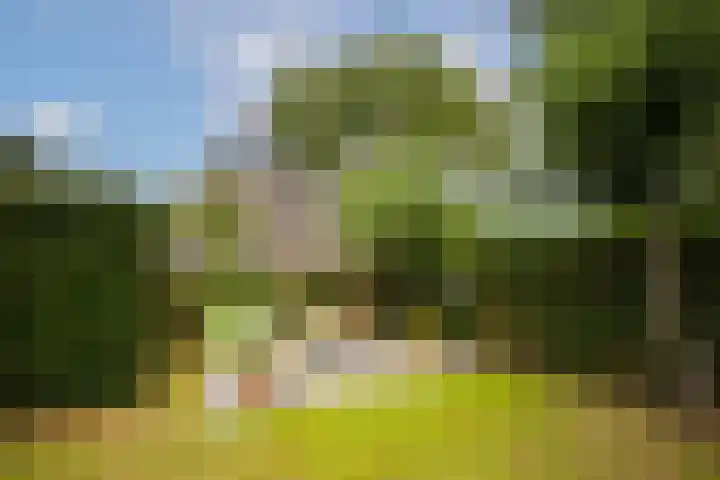 Kuilenstraat 10 Eindhoven thumbnail 82
