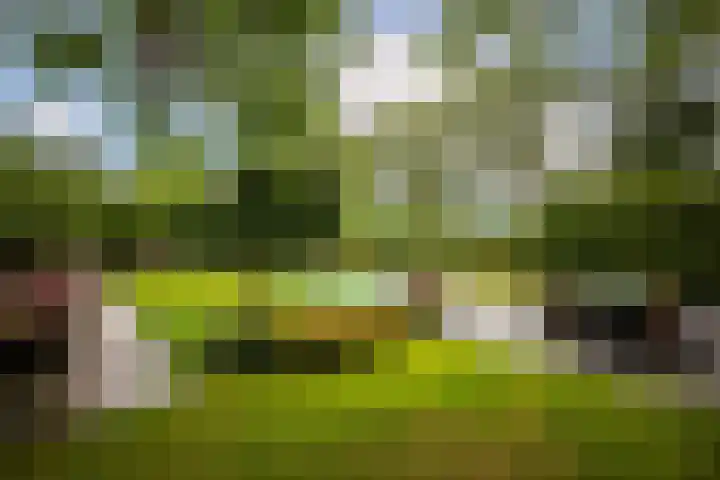 Kuilenstraat 10 Eindhoven thumbnail 86