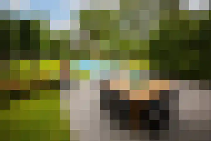 Kuilenstraat 10 Eindhoven thumbnail 87
