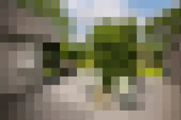 Kuilenstraat 10 Eindhoven thumbnail 88
