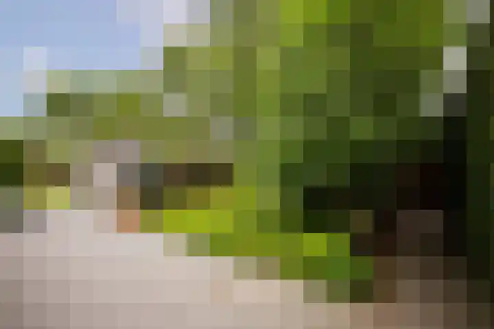 Kuilenstraat 10 Eindhoven thumbnail 92