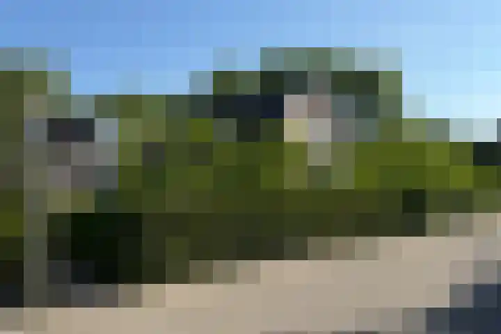 Kuilenstraat 10 Eindhoven thumbnail 94