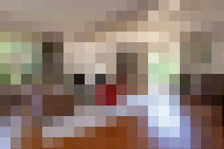 Kuilenven 2 Goirle thumbnail 14