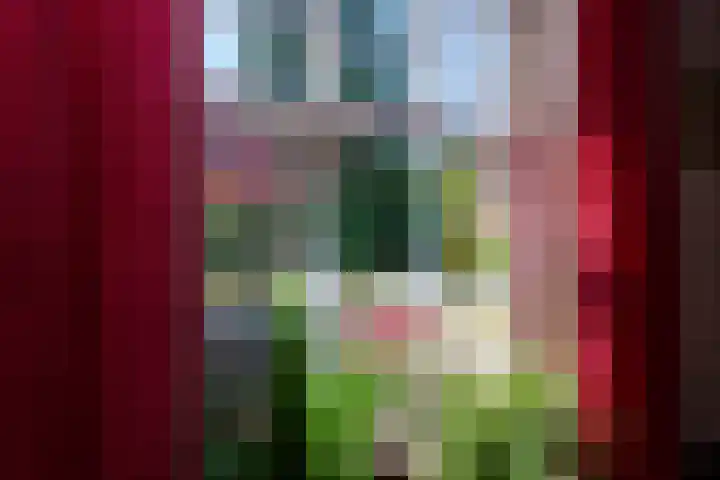 Kuilenven 2 Goirle thumbnail 17