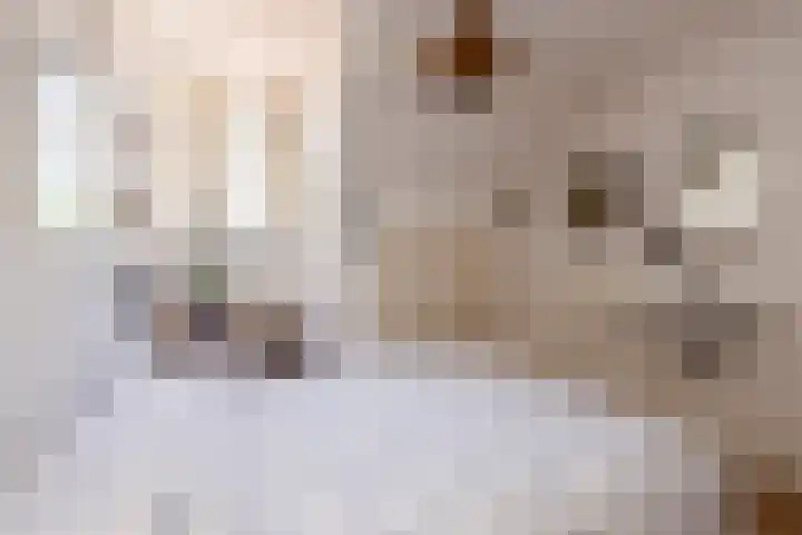 Kuilenven 2 Goirle thumbnail 23