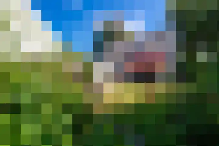 Kuilenven 2 Goirle thumbnail 33