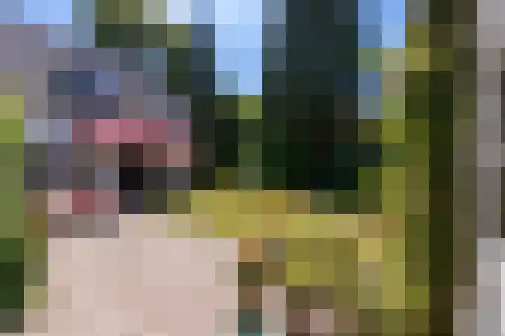 Kuilenven 2 Goirle thumbnail 35