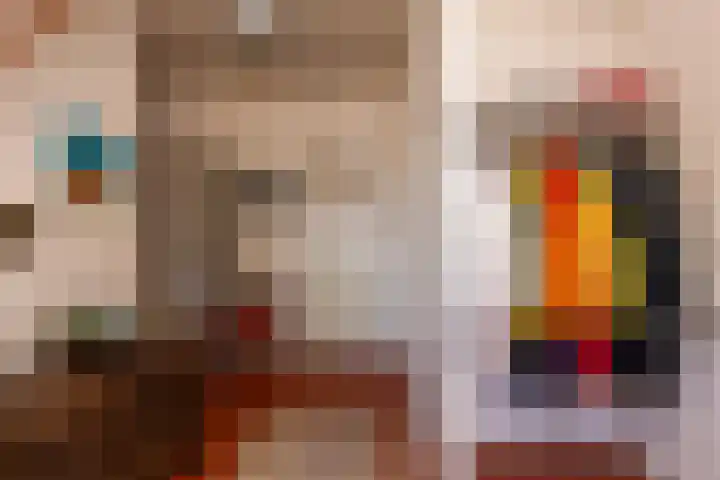Kuilenven 2 Goirle thumbnail 8