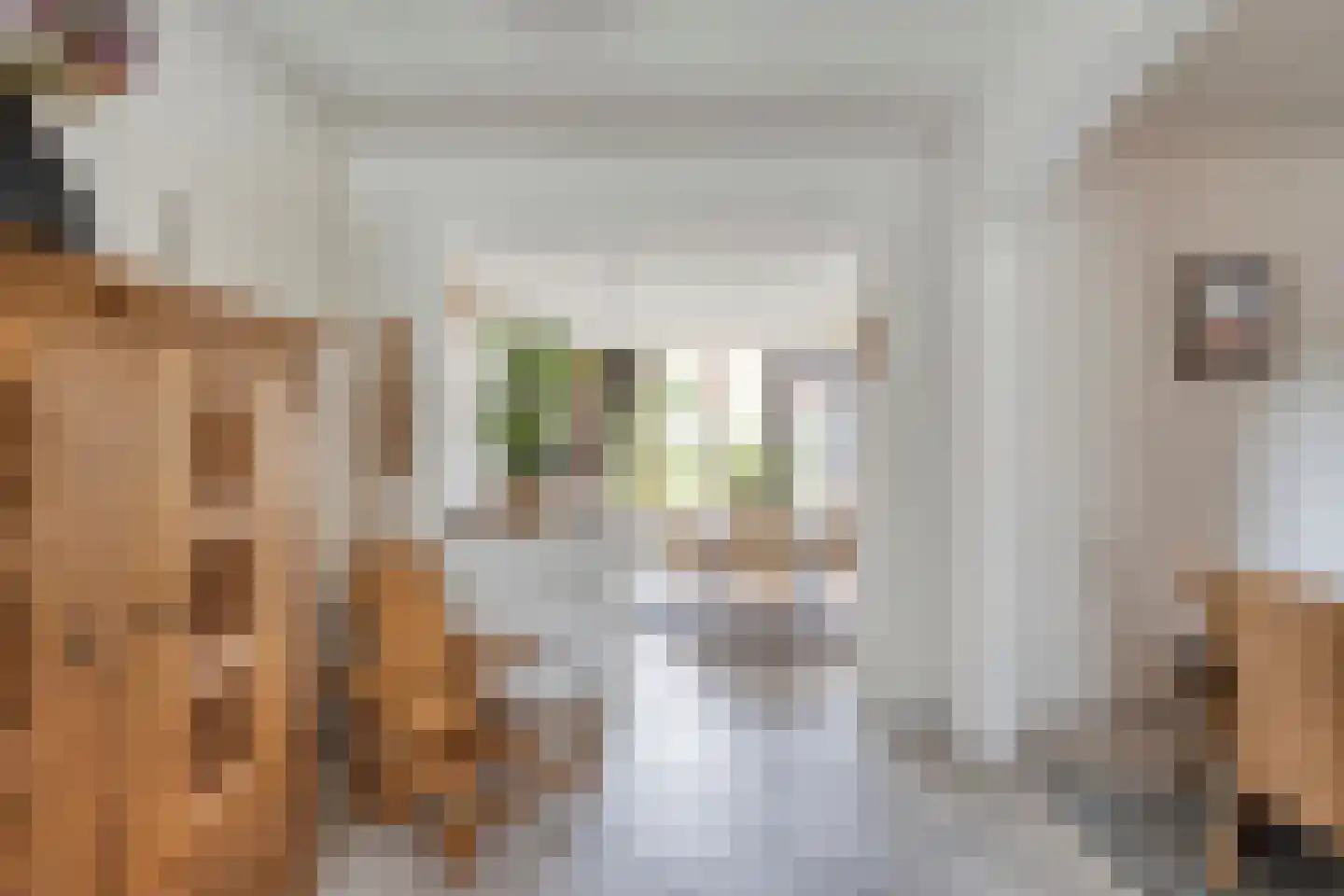 Kuilenweg 12 Elsloo thumbnail 15