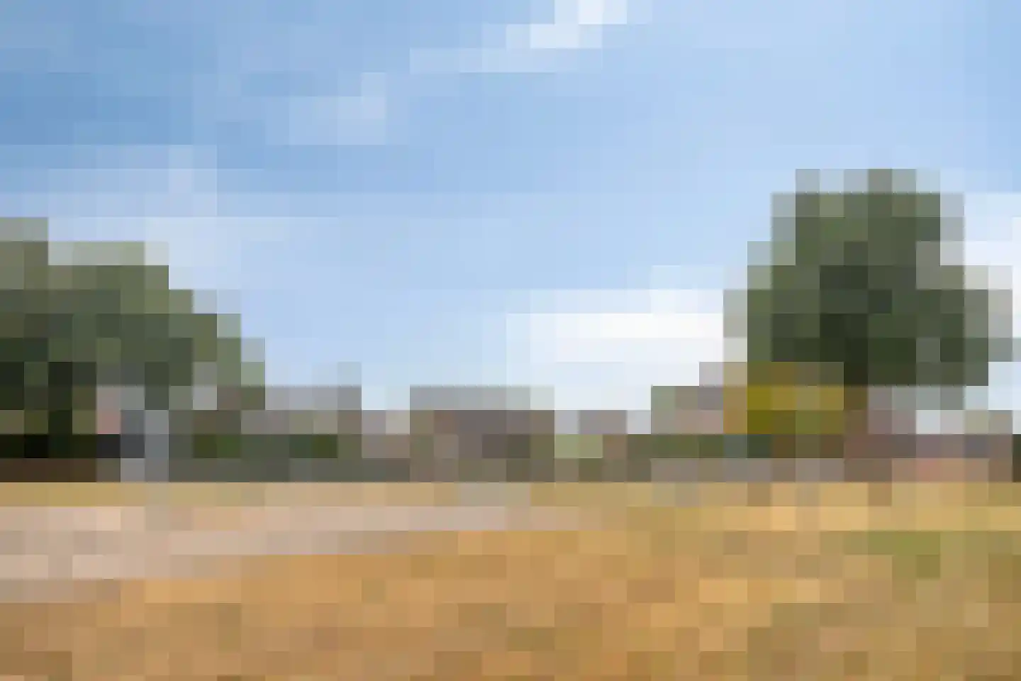 Kuilenweg 12 Elsloo thumbnail 43
