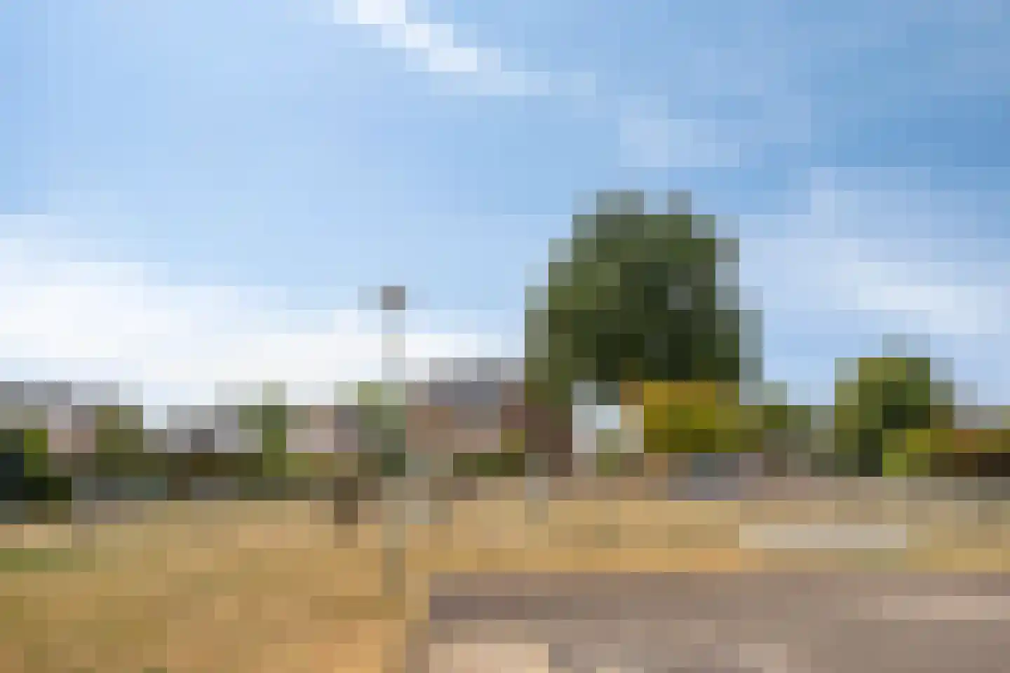 Kuilenweg 12 Elsloo thumbnail 44