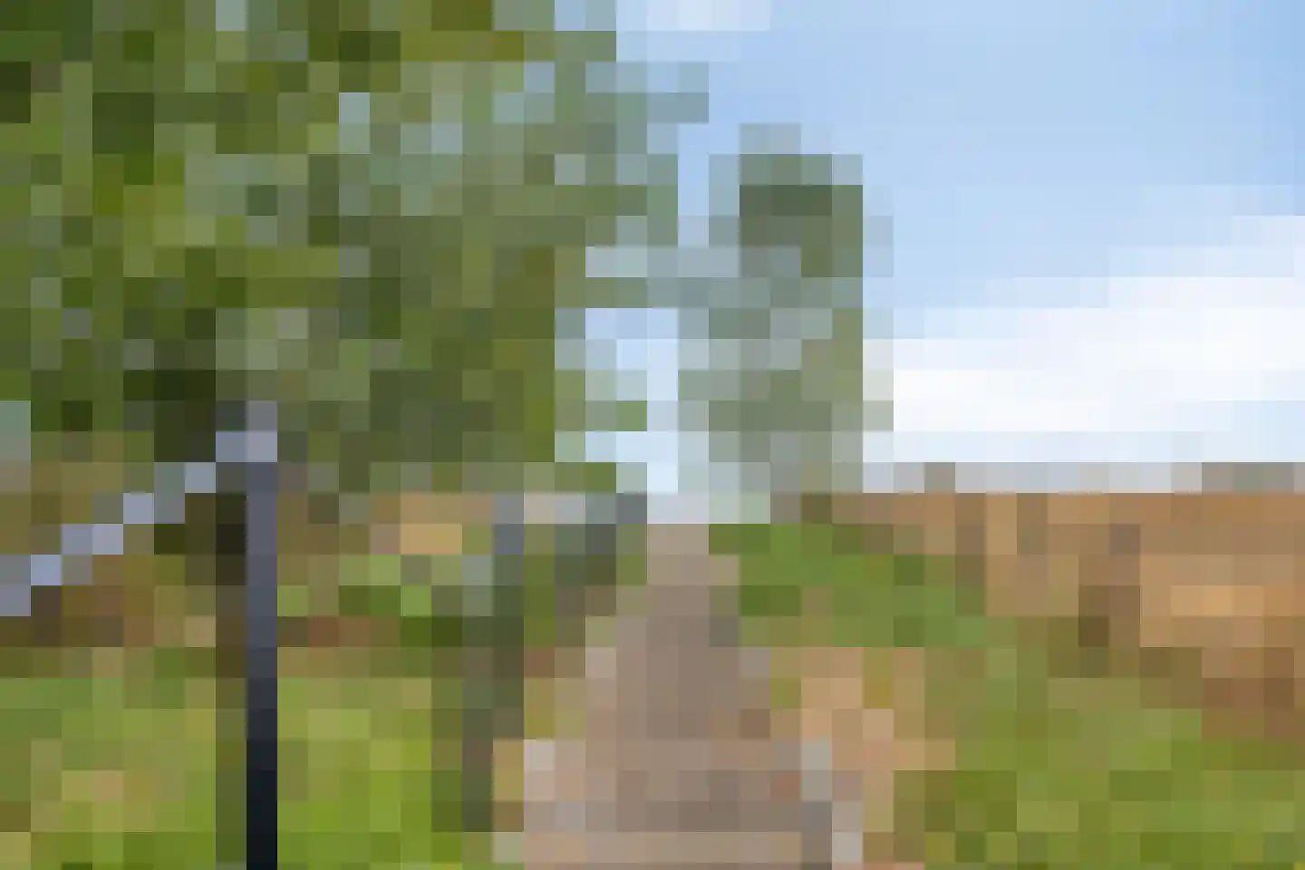 Kuilenweg 12 Elsloo thumbnail 45