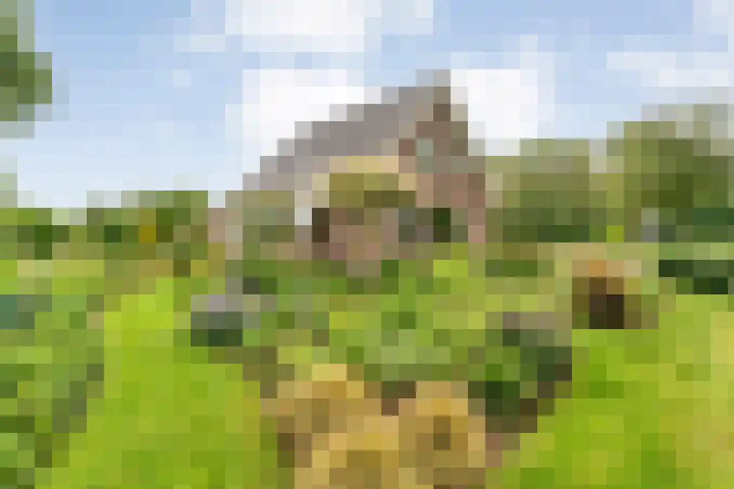 Kuilenweg 20 Bruchterveld thumbnail 5