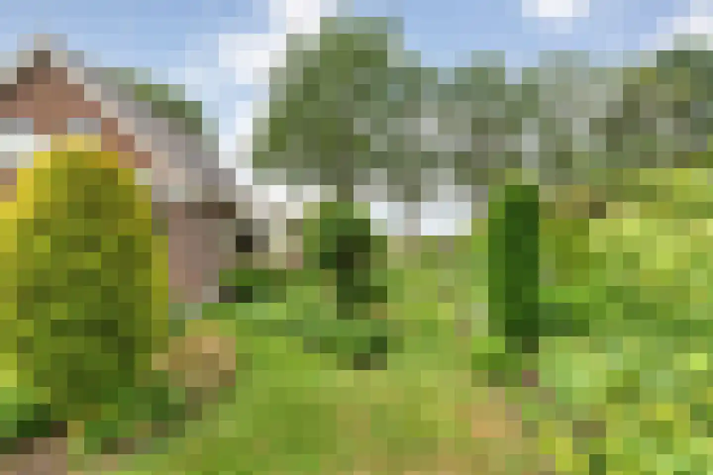Kuilenweg 20 Bruchterveld thumbnail 52