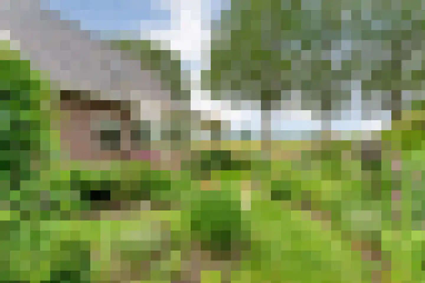 Kuilenweg 20 Bruchterveld thumbnail 53