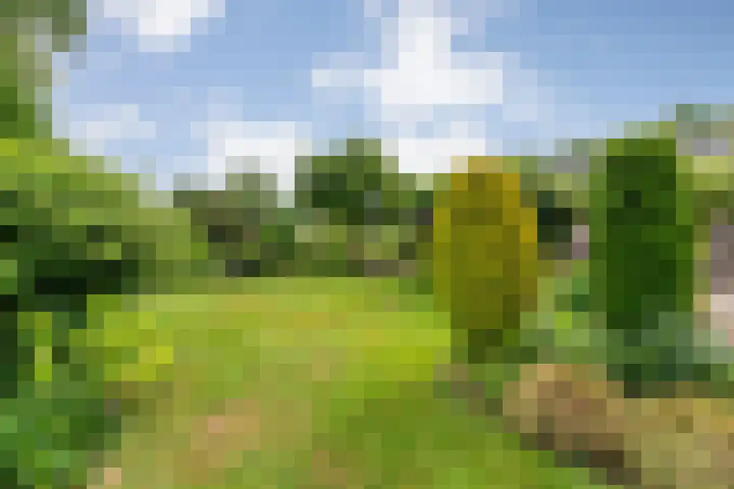 Kuilenweg 20 Bruchterveld thumbnail 54